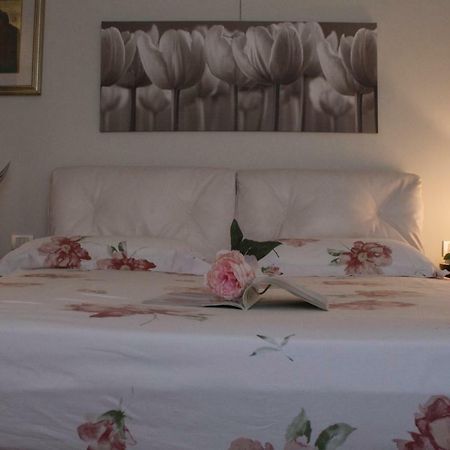 Bed and Breakfast Il Giardino Delle Rose à Santa Maria Nuova Extérieur photo